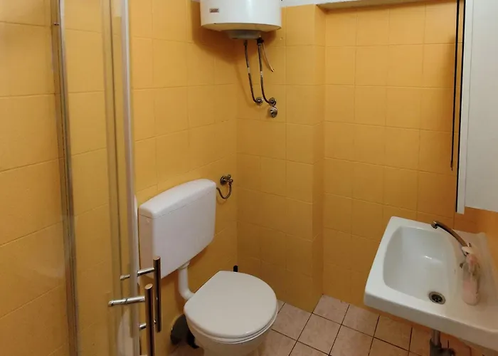 Pet Friendly In *