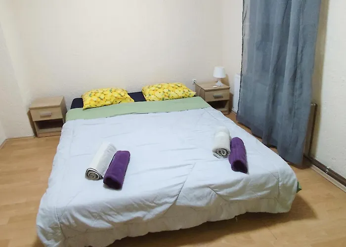Pet Friendly In Njivice